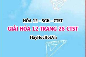 Giải Hóa 12 trang 28 Chân trời sáng tạo SGK